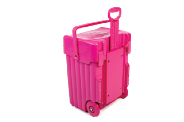 Cadii schoolbag - Pink Body and Pink Trim with Dividers and Lunchbox