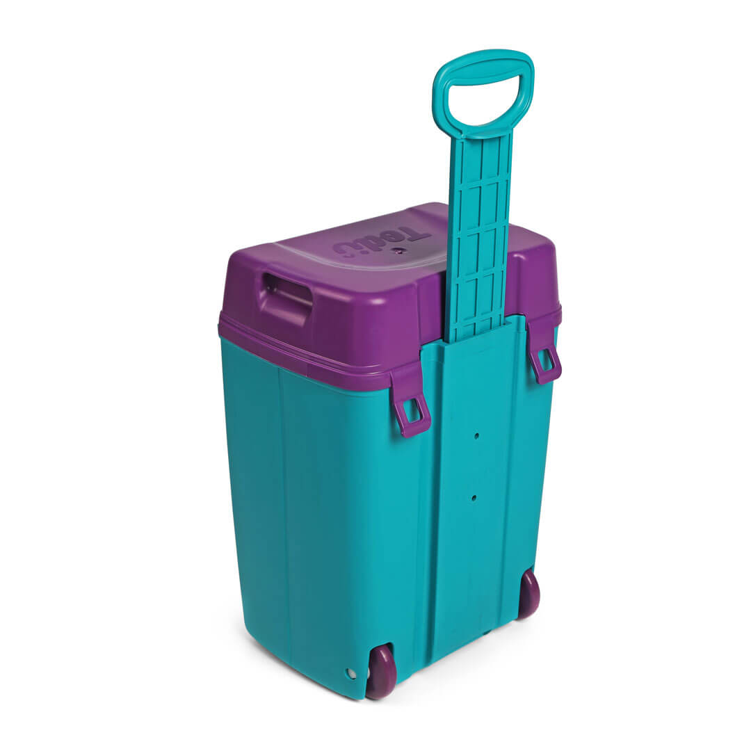 Todii Turquoise Body and Purple Lid